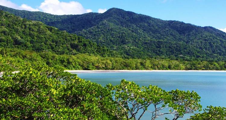 Forêt tropicale côtière et plage au cap Tribulation.