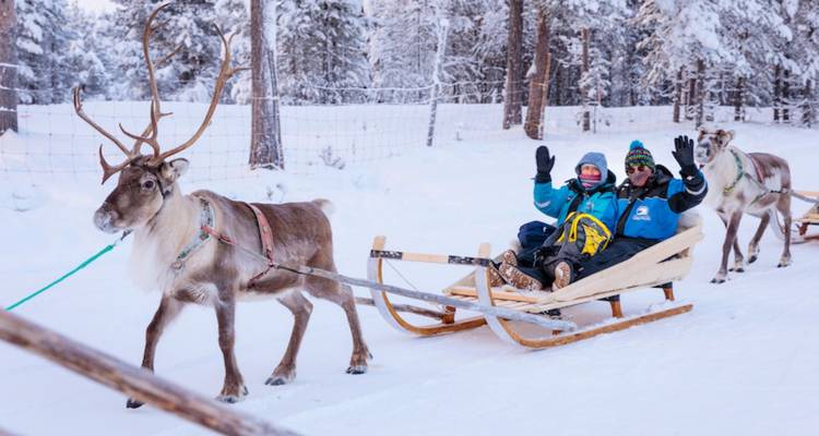 Two people enjoying a reindeer sled ride through a snowy forest.