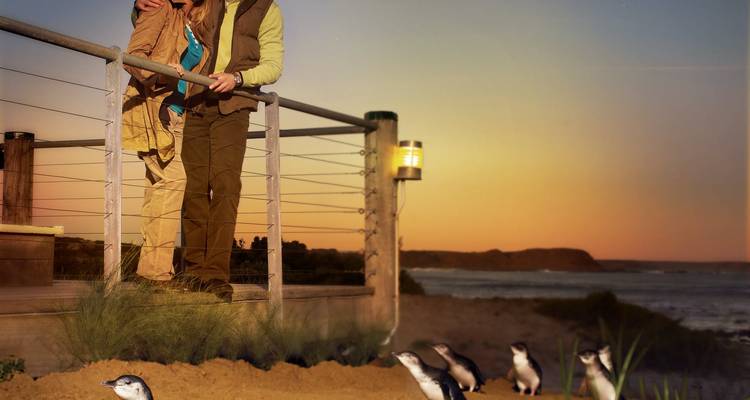Una pareja observando pingüinos al atardecer en un malecón junto al mar.