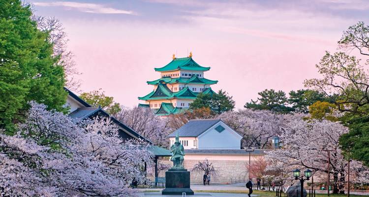 A traditional Japanese castle with cherry blossoms in full bloom.