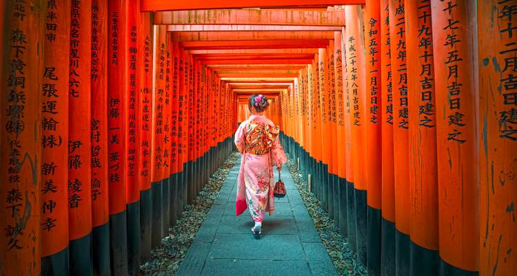 Kimono-gekleidete Frau, die durch die endlosen zinnoberroten Torii-Tore des Fushimi-Inari-Schreins spaziert.