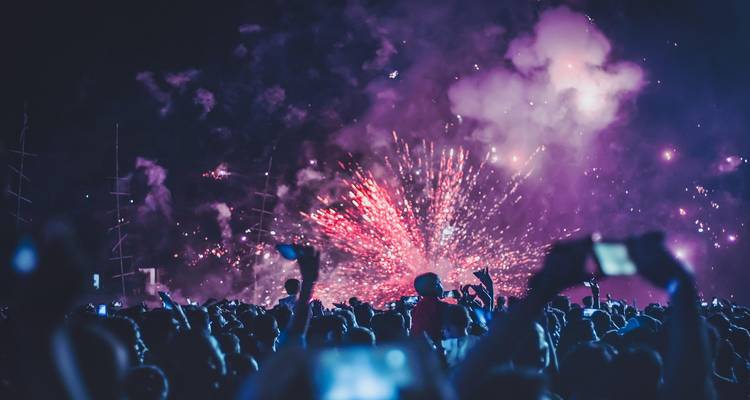 Fireworks and a crowd of people enjoying a nighttime display.