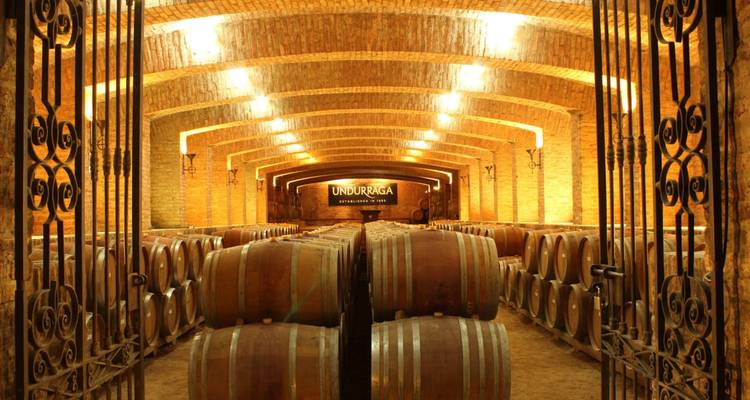 Cave voûtée bordée de tonneaux à l'intérieur d'une cave vinicole, arcade devant.