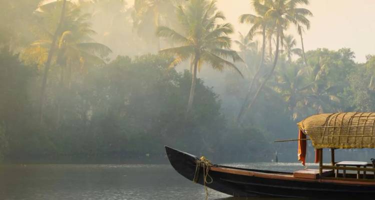 Une traditionnel bateau-maison en bois glisse sur les eaux calmes encadrées par des cocotiers brumeux à l'aube