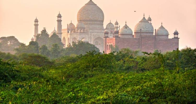 Distant view of the Taj Mahal emerging through the trees in a soft light.