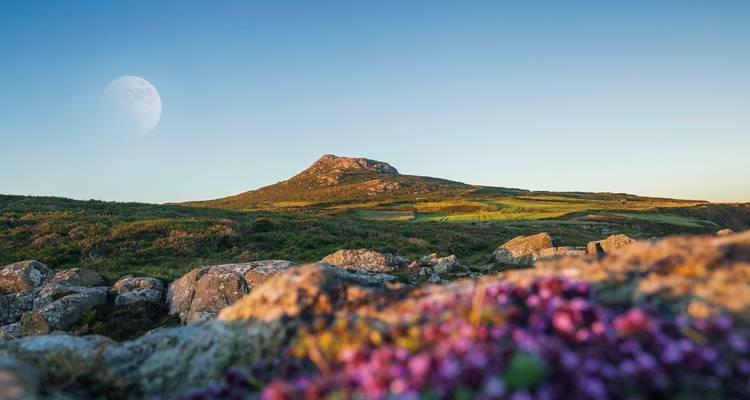 Paysage de montagne avec terrain rocheux et flore.
