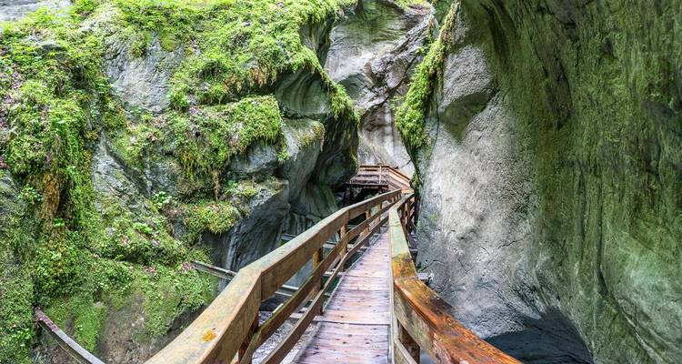 Ein malerischer Holzweg durch eine üppige Schlucht.