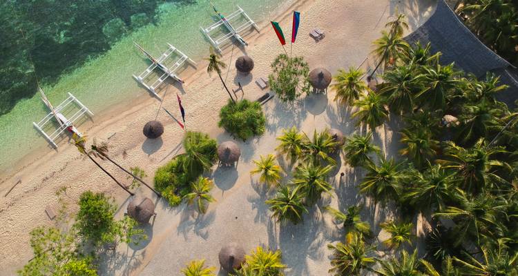 Vue aérienne d'une plage de sable avec des bateaux et des palmiers.