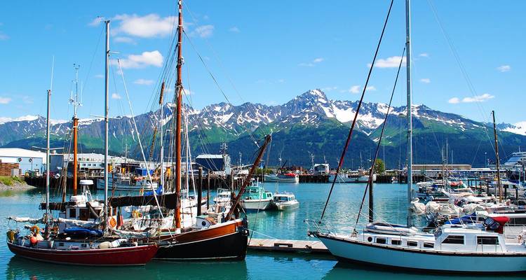 Marina in Seward met aangemeerde zeilboten en sneeuwbedekte bergen die erachter uitsteken