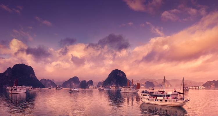 Fleet of tour boats anchored among misty karst peaks under a pastel dawn sky in Halong Bay.
