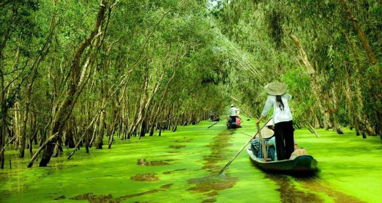 People rowing boats through a narrow waterway lined with trees.