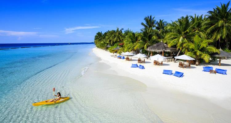 A person kayaking on a tropical beach with clear blue water and palm trees.
