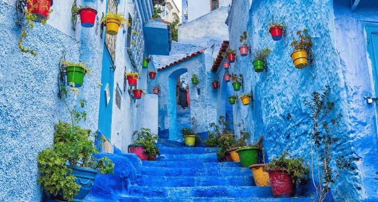 Une rue bleue vibrante décorée de pots de fleurs à Chefchaouen.