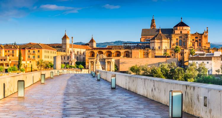 Magnificent historic architecture with a bridge leading to it.