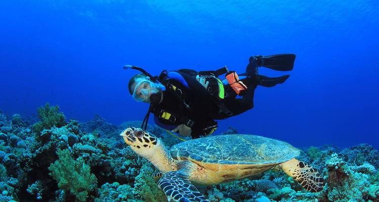 Taucher schwimmt mit einer Meeresschildkröte über einem Korallenriff.