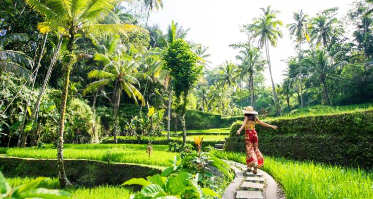 Woman walking in lush rice terraces.