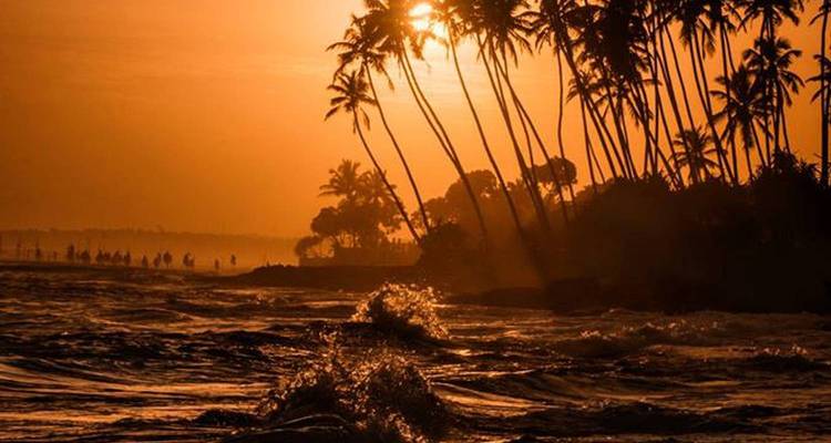 Coucher de soleil spectaculaire au-dessus d'un océan avec des palmiers en silhouette.
