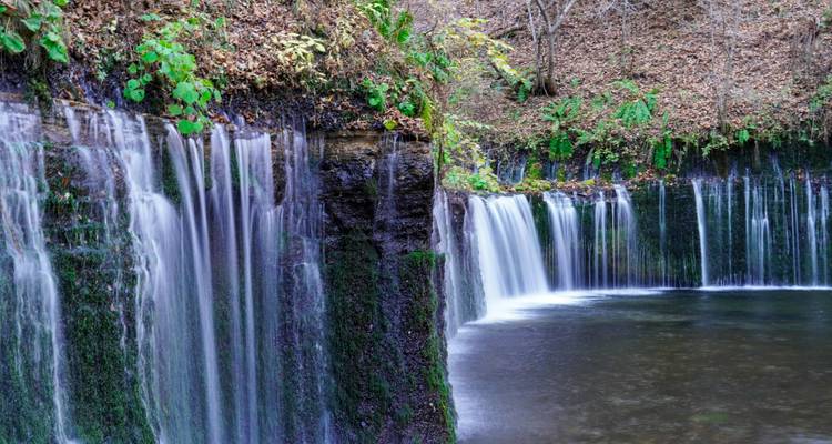 Cascade d'eau dévalant une paroi rocheuse au milieu d'un feuillage vert luxuriant.