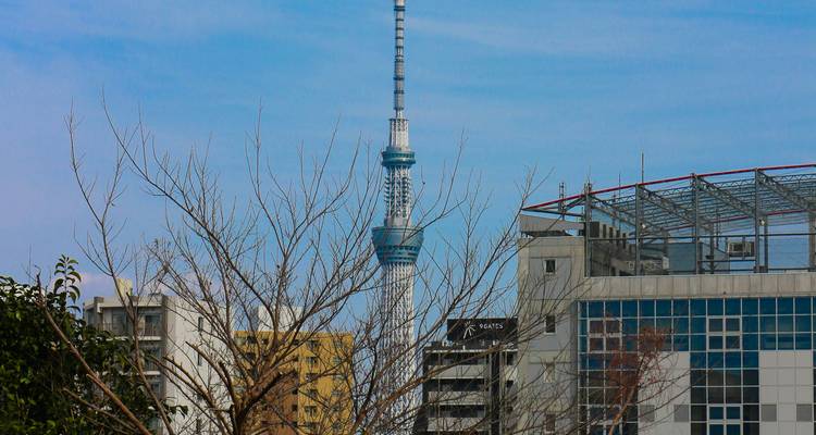 Vue du Tokyo Skytree derrière des bâtiments urbains.