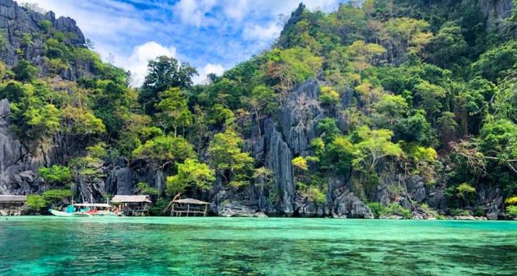 View of a tropical shoreline with dense vegetation.