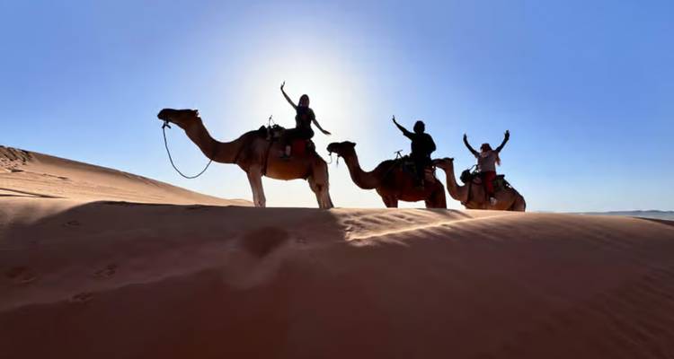 Siluetas contraluzadas de tres camellos con sus jinetes saludando desde lo alto de una duna.