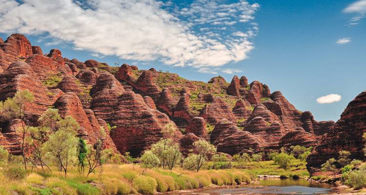 Bungle Bungles dans le parc national de Purnululu avec des formations rocheuses uniques.