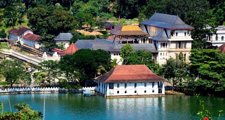 Complexe de temples avec un lac et des bâtiments entourés de verdure.