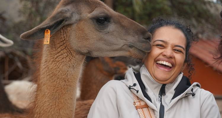 Persoon lachend met een lama in een buitenomgeving.