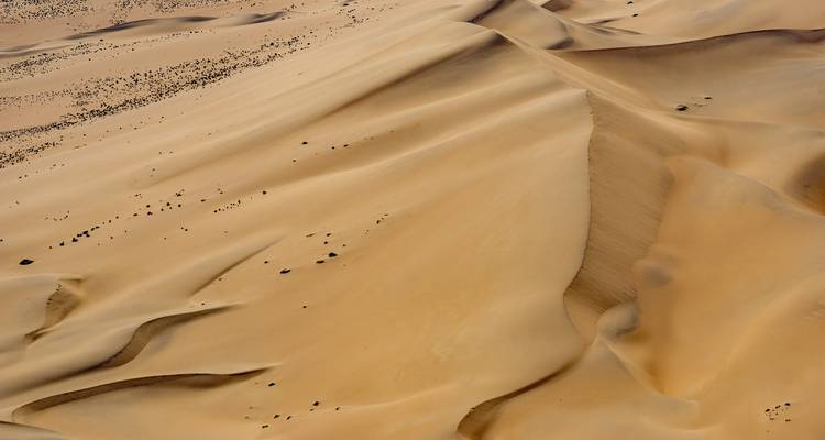 Aerial view of sand dunes in a desert.