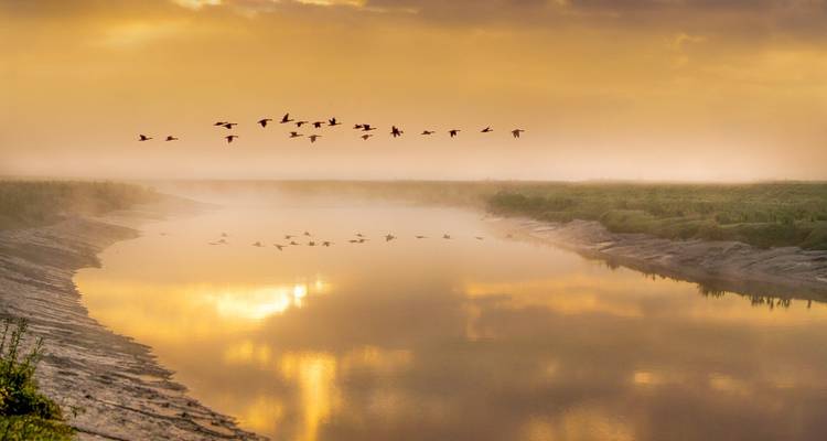 Sunrise or sunset over a calm river with birds flying.