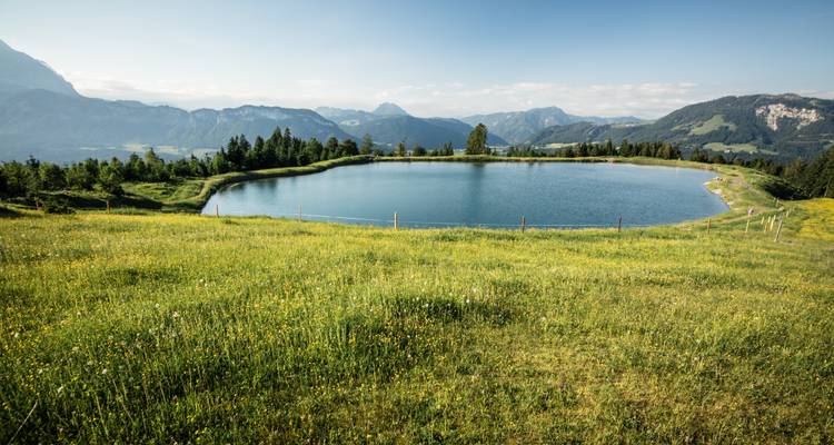 Un lac entouré de champs herbeux et de montagnes lointaines.