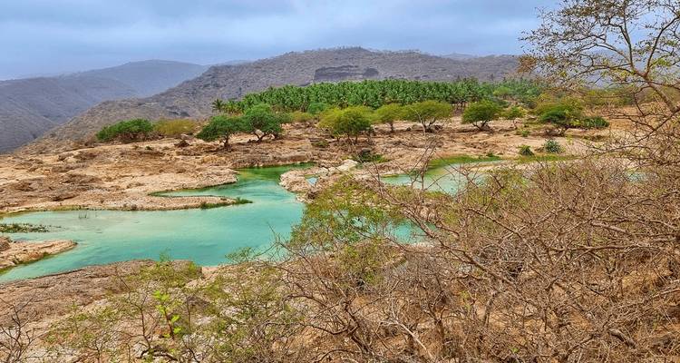 Vegetación exuberante junto a un arroyo azul cristalino.
