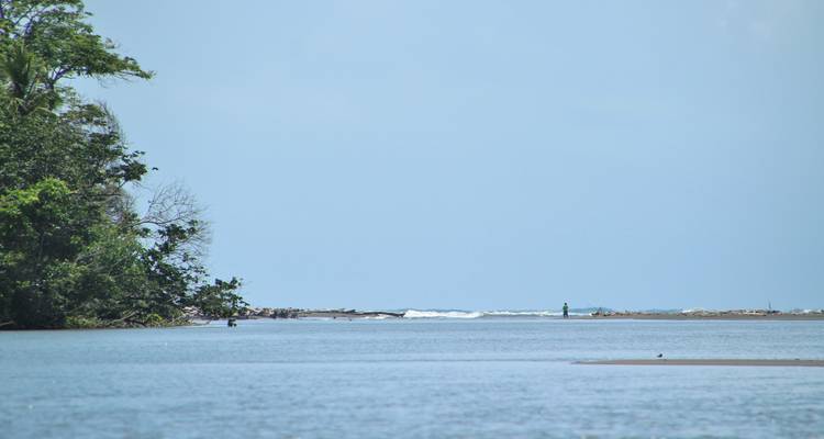 Coastal view with the ocean and tree-lined shore.
