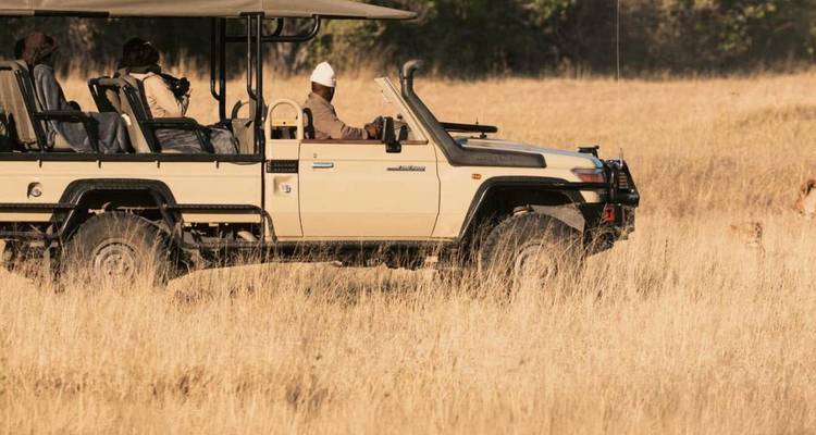 Open safari vehicle with guests driving through tall golden grass on an African game reserve.