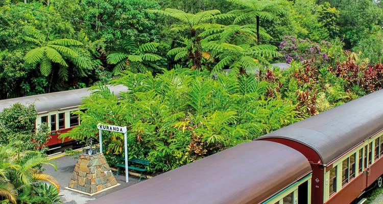 Vintage train surrounded by lush greenery with a station sign.