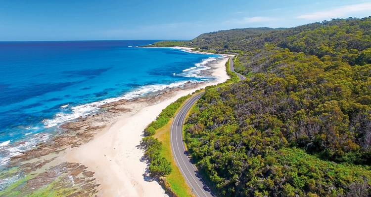 Coastal road along a rugged seascape with dense vegetation.