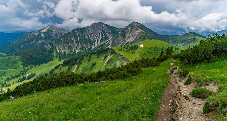 Paysage de montagne avec une végétation luxuriante et un sentier de randonnée.