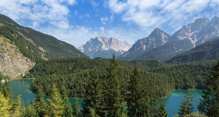 Vue de montagne avec un lac serein et une forêt de pins.