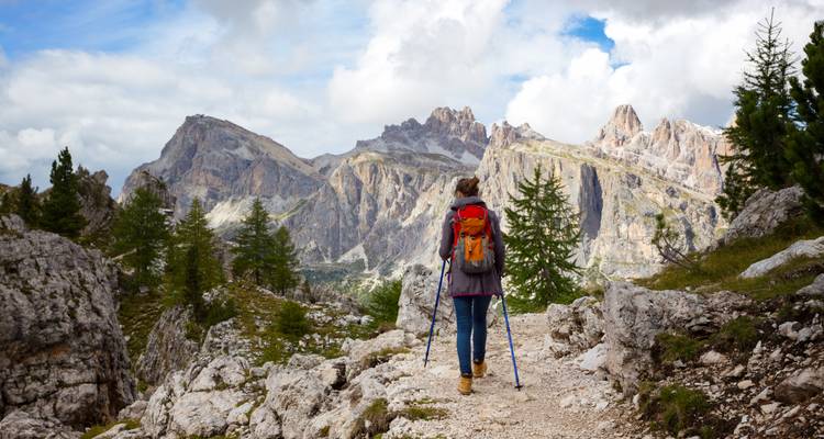 Un randonneur avec des bâtons de randonnée admirant le paysage de montagne.