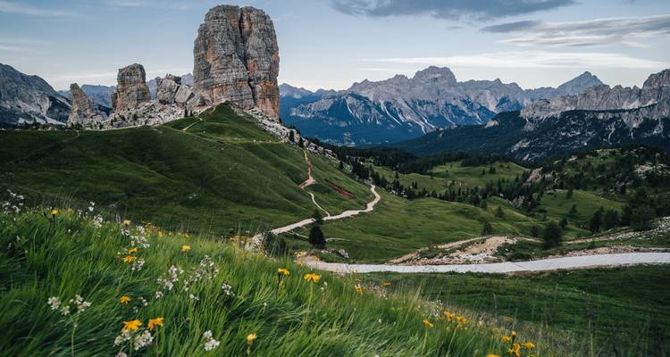 Paysage montagneux avec des collines verdoyantes et des fleurs sauvages.