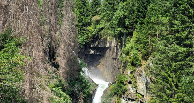 Ein Wasserfall, der durch einen grünen Wald hinabstürzt.