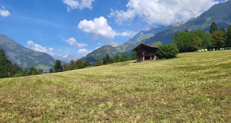 Eine kleine Holzhütte auf einem offenen Feld mit Bergen im Hintergrund.