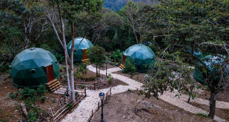 Dômes géodésiques entourés d'arbres sur une colline.