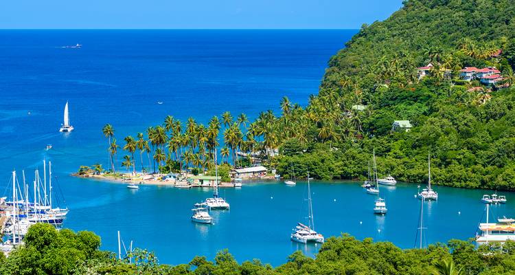 Tropical bay with palm trees and yachts under a clear blue sky.