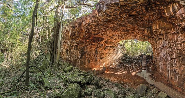 Sunlit interior of a large cave with exposed roots and rocks.