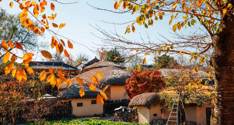 Herfstbladeren omlijsten traditionele rieten daken huisjes en tuinen in een Koreaans plattelandslandschap.
