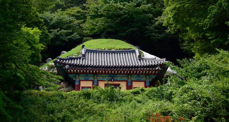Temple traditionnel niché dans une végétation luxuriante.