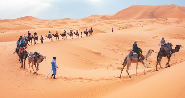 Caravane de chameaux traversant le désert du Sahara.