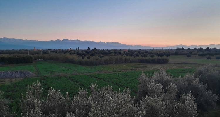 Vastes plaines étendues avec des montagnes lointaines au coucher du soleil.