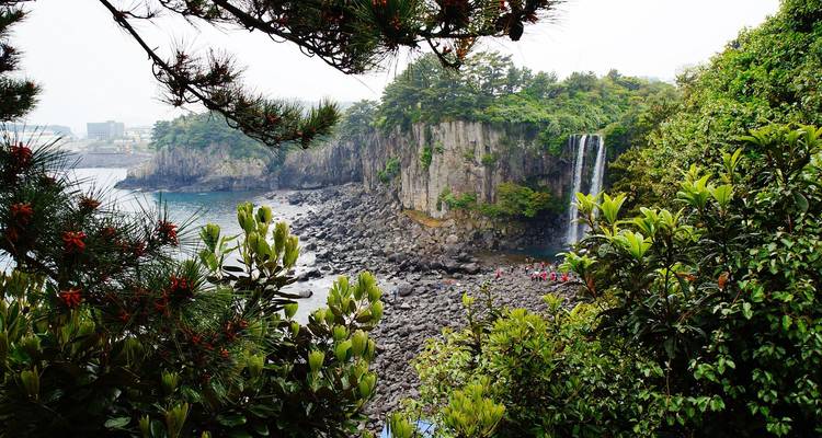 Jeongbang Waterfall stort zich over kustrotsen naar beneden, omgeven door weelderige begroeiing op het eiland Jeju